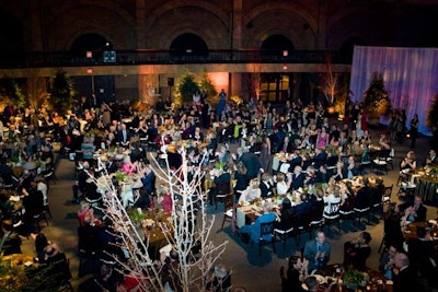 Trees from Rutland Nurseries gave the space a woodsy feel.