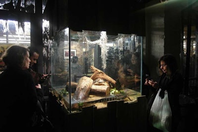 At the exhibit's entrance, visitors can peek inside a tank full of baby alligators and turtles.