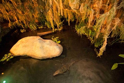 Trees, plants indigenous to Louisiana, and 6,500 gallons of water fill the temporary swamp area.