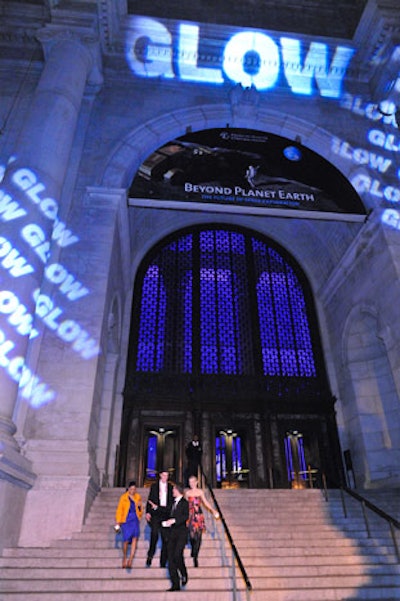 Glow Stick-Up Stars – The Museum Store at the NC Museum of Natural