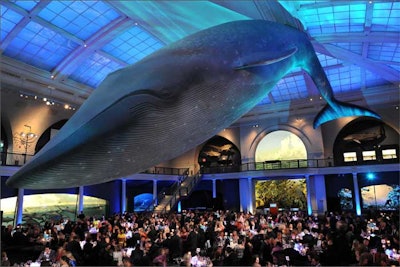 The dinner and dessert portion of the benefit was held in the Milstein Hall of Ocean Life, where tables sat beneath water-like lighting projected onto the ceiling.