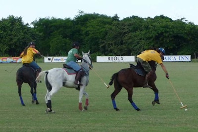 Polo Games with Executive Oasis International