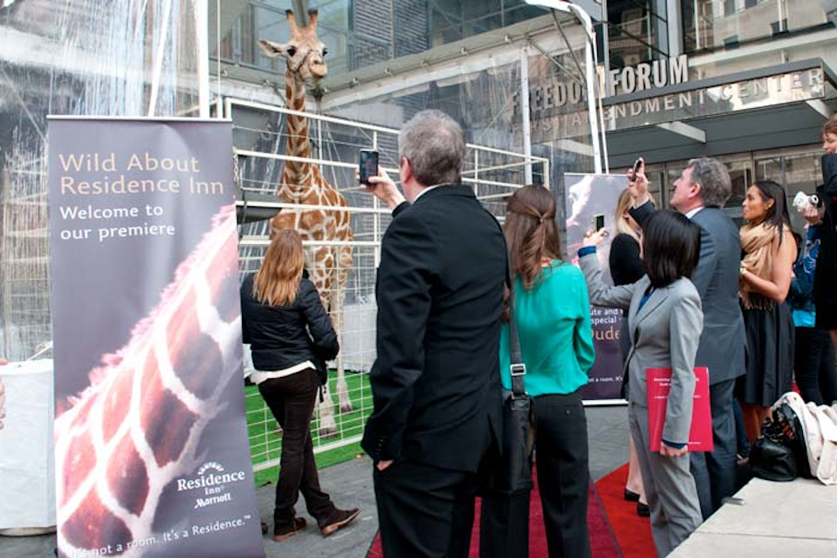 Residence Inn Debuts Ad Campaign With Live Giraffe Bizbash