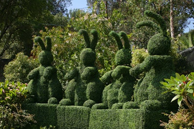 Topiary Bunnies