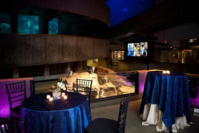 9. The New England Aquarium