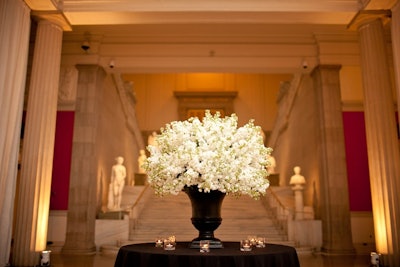 Corcoran Gallery of Art staircase with white stock.