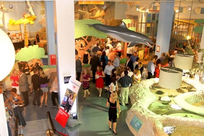The Museum of Discovery and Science's annual Wine and Culinary Celebration was held in the new EcoDiscovery Center.