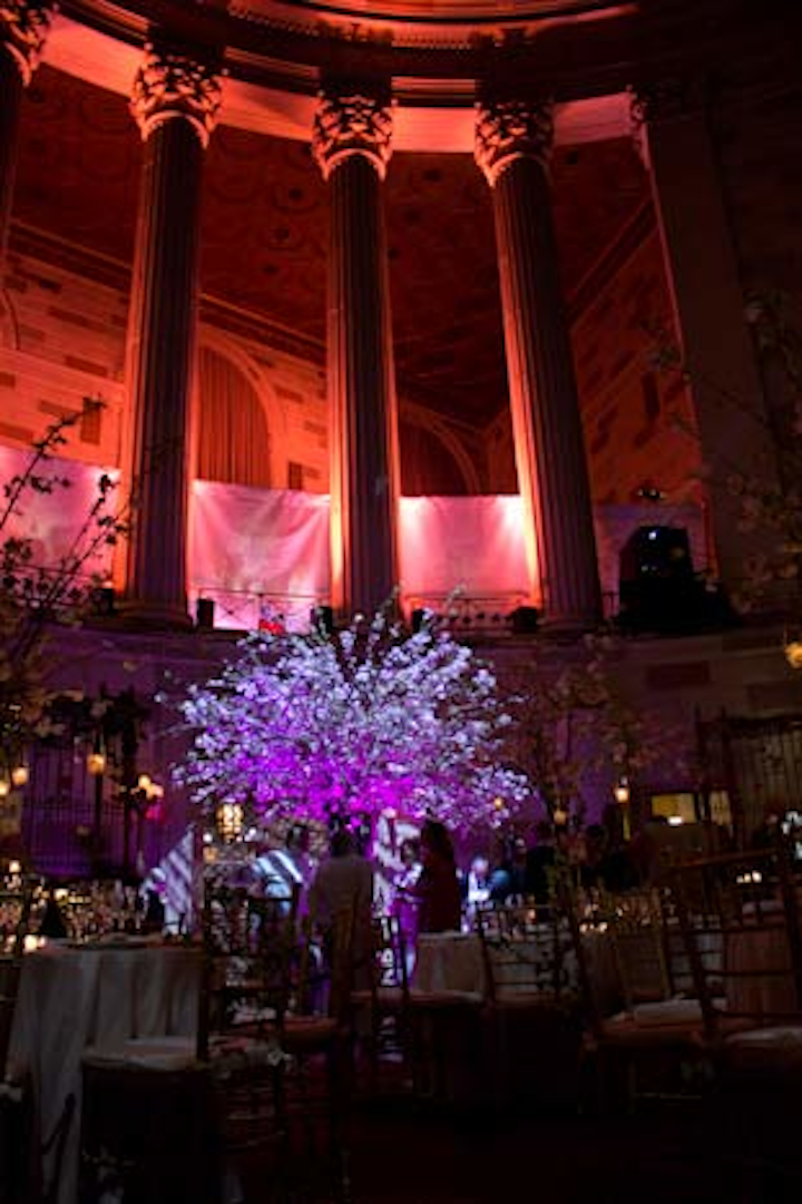 Here’s the view from a little farther away that I thought made the cherry blossom entry pop hardest. Nicely done, Bentley.