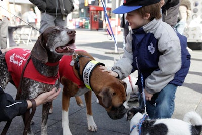 At the promotion, visitors could pet trained service dogs and bring their own four-legged friends to Dundas Square.