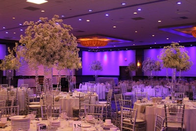 Regency/Embassy Suites: Winter Wedding, Purple LED Lighting
