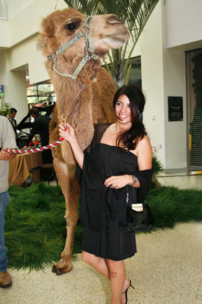 A live camel stood next to the Tesla available in a raffle, a tongue-in-cheek statement about transportation through the ages.