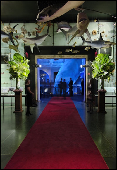Hall of Biodiversity red carpet
