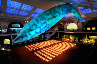 Theater style Milstein Hall of Ocean Life