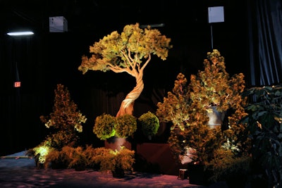 The 'Shogun-Era Japan Circa 1600' area had a garden of oversize Bonsai trees.