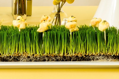 Other English-inspired snacks on the Boutique Bites menu include Shepherd's Pie gougères, presented on sticks atop a bed of wheat grass.