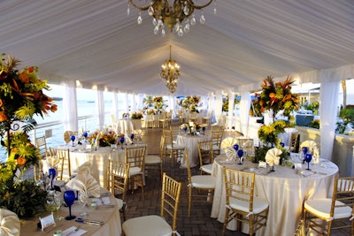 Tented Elegance