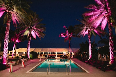 Hot Pink Nights