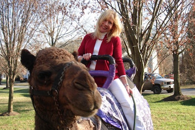 One of our camels. We have elephants too!