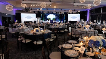 1. American Cancer Society Discovery Ball