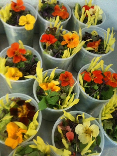 Cuisine En Locale has introduced a colorful farm salad served in mini cups. The salad is made with nasturtium, pea tendrils, corn shoots, and field greens from local Stillman’s Farm.