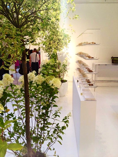 Potted flowers and topiary created a pleasant and transparent view into the open kitchen, where chefs presented finished dishes on a plexiglass tower that guests could grab from.