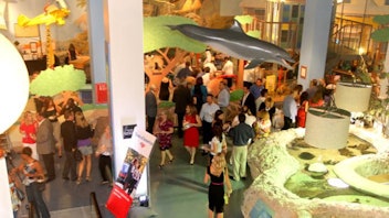 10. Museum of Discovery and Science’s Wine and Culinary Celebration