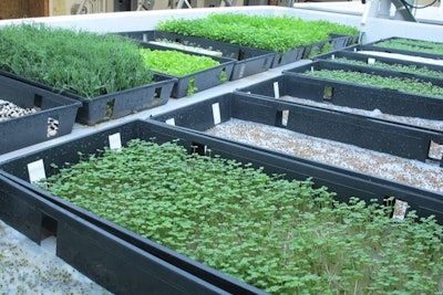 The farm includes 600 square feet of vertical stacked planting gardens and 5,000 gallons of fish tanks.