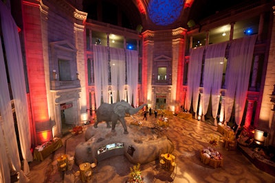 Natural History Museum Event