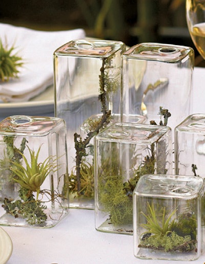 42. Personalized Terrariums