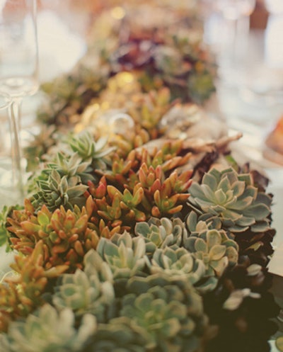 49. Centerpieces as Gifts