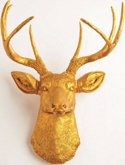 71. A Modern Spin on Taxidermy