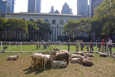 About 30 sheep grazed inside a clear pen placed in the center of the park's lawn. 'A number of permits were required to have animals on site,' says Mission global director Sabrina Lynch.