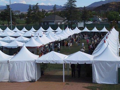 Festival Canopies