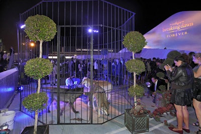 Live wolves roamed a pen just outside the party tent on the Event Deck at L.A. Live.