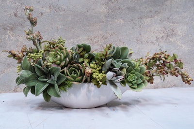 Clover Chadwick of Dandelion Ranch in Los Angeles created a sculptural arrangement using succulents.