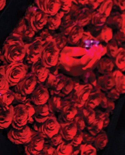 The Los Angeles launch party for Zing vodka in July had a unique take on a shot bar: Gloved hands emerged from a rose-covered wall to offer guests glasses of the new spirit.