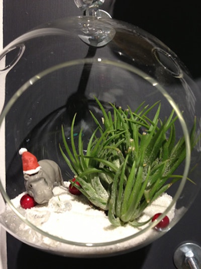 The hanging terrariums in 'Hipster Holiday' had quirky miniature landscapes, including one with a hippopotamus wearing a Santa hat.