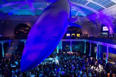 The Milstein Hall of Ocean Life served as the site of Portlandia's season three premiere party, which saw 580 guests.