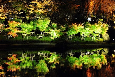 The park's maple trees were lit to highlight their peak colors.