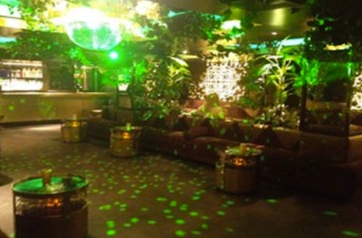Jungle theme