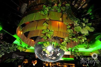 Jungle theme