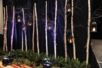 The Nature Conservancy of Canada celebrated its 50th anniversary gala in November at the Ritz-Carlton in Toronto, where planners created a wintery forest feel by lining the ballroom with living trees hung with candlelit lanterns.