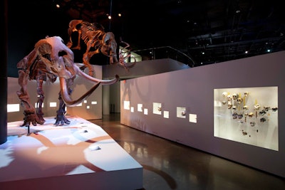 The Houston Museum of Natural Science’s 115,000-square-foot Hall of Paleontology expansion opened in June. The two-story hall showcases 30 dinosaur skeletons—including a 42-foot-long T. rex—along with interactive exhibits. The hall can seat 360 for a dinner and holds 650 for a reception.