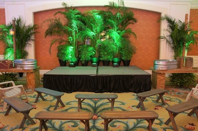 Stage foliage accent with lighting