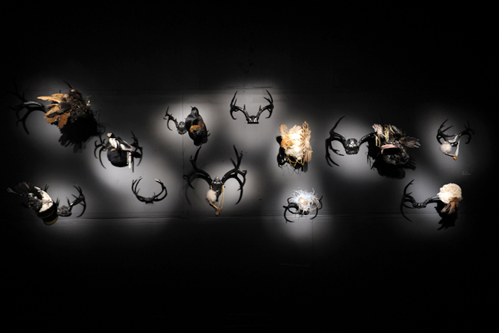 With black walls and dim lighting, the second section of the pop-up held 'rogue' taxidermy—the practice of turning stuffed animals into artistic sculptures. This included headwear created by Beth Beverly, who stars in Immortalized.