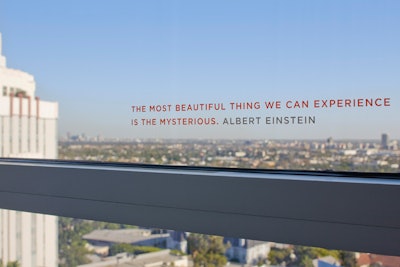 Guestroom Window Decal Einstein