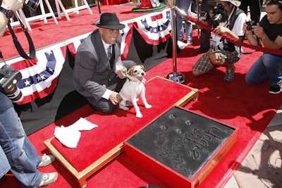 Uggie, Grauman’s Chinese Theatre, Hollywood