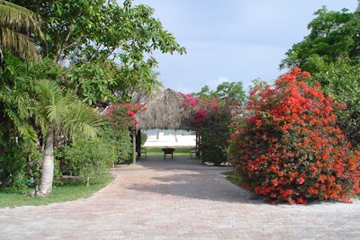 View of a flower bowl and thatched walkway