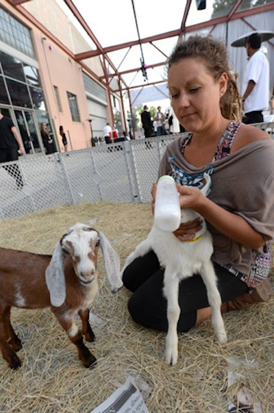 Festivities included renaissance fair-style characters in costume and a goat petting zoo.