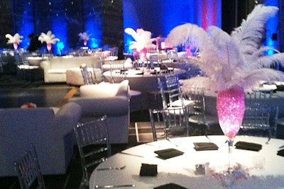 Fabulous feathers